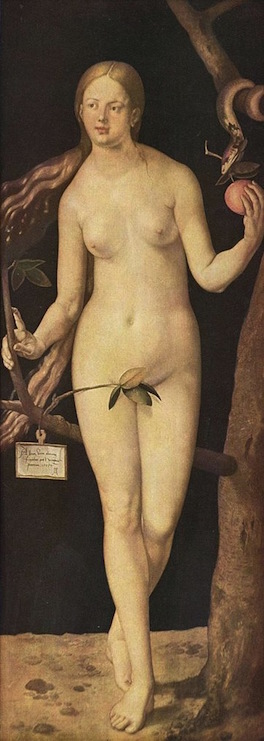 Ève (Albrecht Dürer)